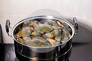 Steamed crab in pot. live crabs in a pot. steaming shanghai hairy crabs, chinese cuisine.