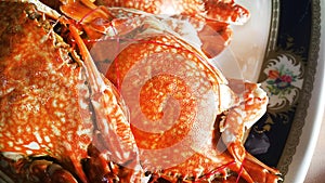 Steamed crabs and crab eggs with seafood close up image for food content