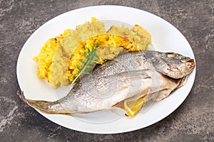 Steamed Dorada fish with rice