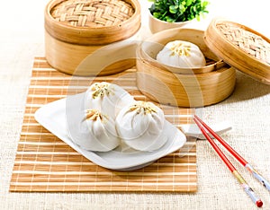 Steamed dumpling Chinese style food