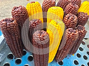 Steamed of fresh yellow and black corn for sell, street food