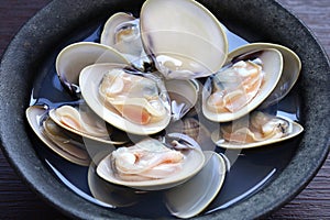 steamed Hamaguri clams with Japanese rice wine (sake). photo