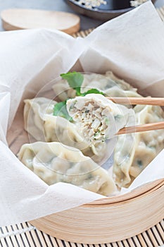 Steamed Korean dumplings Mandu with chicken meat and vegetables