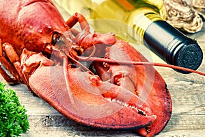 Steamed lobster with bottle of white wine