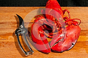 Steamed lobster with cutting sheers