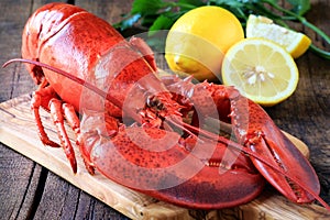 Steamed lobster