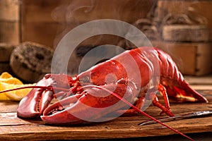 Steamed Lobster photo