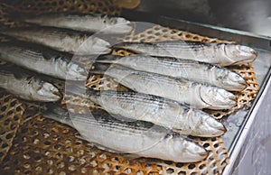 Steamed mullet fishes on bamboo plate