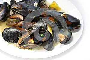 Steamed mussels photo