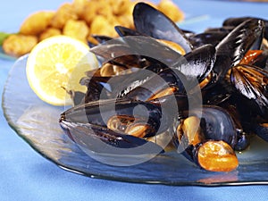 Steamed Mussels
