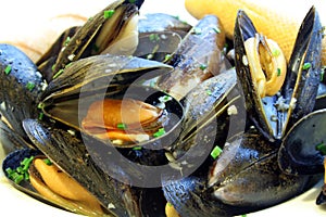 Steamed Mussels photo