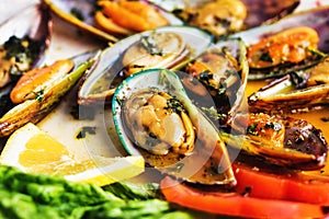 Steamed mussels on a plate
