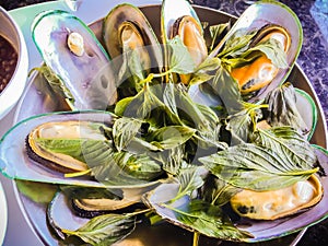 Steamed New Zealand mussels with thai herb in the seafood restaurant. New Zealand green-lipped mussel (Perna canaliculus), also kn