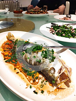 Steamed Perch with chopped green onion