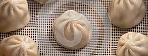 Steamed pork soup dumplings named Xiao long bao in Taiwan