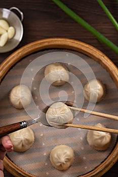 Steamed pork soup dumplings named Xiao long bao xiaolongbao in Taiwan