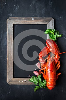 Steamed red lobster on a blackboard with copyspace