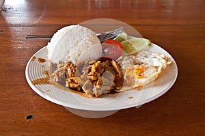 Steamed rice with deep fried pork with garlic