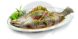 Steamed Sea bass Snapper Fish with Soy Sauce Chinese food