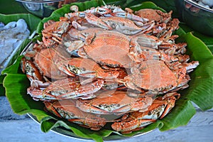 Steamed sea crab on a stall in the market. Seafood