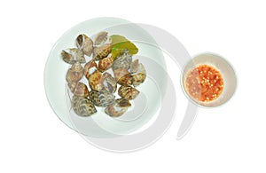 steamed spotted or areola Babylon on plate dipping with Thai spicy seafood sauce