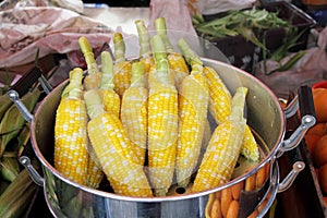Steamed Sweet Corns photo