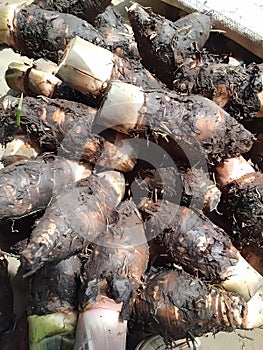 Steamed taro is delicious to eat, if steamed properly it melts deliciously, suitable for diets