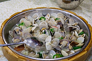 steamed whiteshell on the stainless dish photo