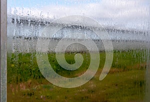 Steamed windows of a flower nursery