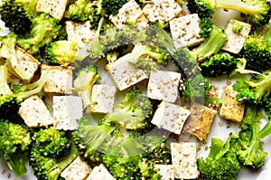 Vegan food : steamed broccoli and tofu dish photo
