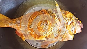 Steaming fish 'caesionidae' with minced tumeric seasoning.