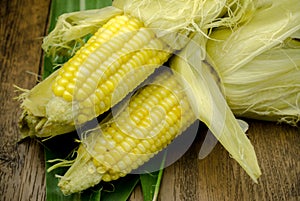 Steaming fresh corn on wooden table