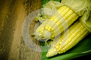 Steaming fresh corn on wooden table