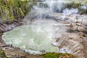 Steaming Geysers at Norris Basin in Yellowstone