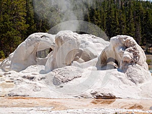 Steaming Grotto Geyser