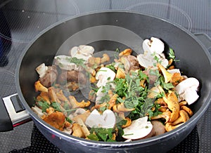 Steaming mushrooms in a pan