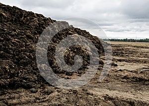 Steaming pile of manure on farm field in Dutch countryside