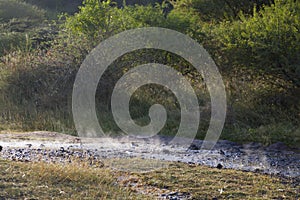 Steaming river at Lake Bogoria, Kenya