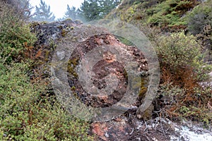 Steaming rock in geothermal area, New Zealand