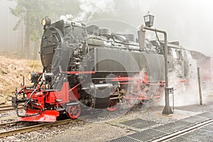 Steaming steam locomotive in a forest in fog