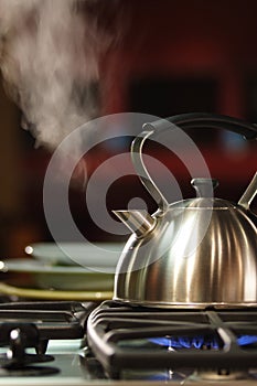 Steaming Tea Kettle