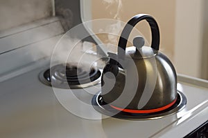 Steaming Tea Kettle photo