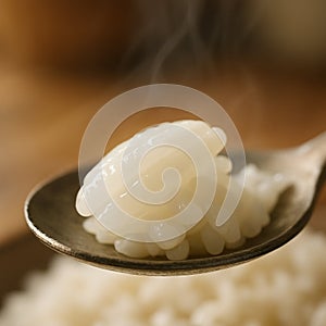 Steaming White Glutinous Rice on a Spoon AI-GENERATED