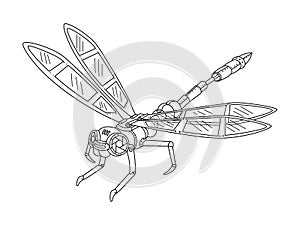 Steampunk style dragonfly coloring book vector