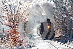 Steamtrain in Woods