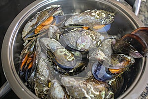 Steamy Delights: A Feast of Steamed Mussels in the Pot