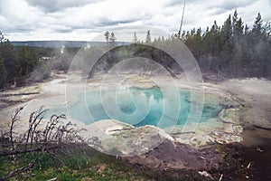 Steamy Emerald Spring in Yellowstone National Park, in the Norris Geyser basin area