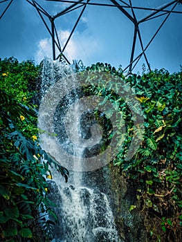 Steamy jungles and waterfalls in the Eden Project, Corwnall