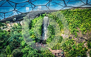 Steamy jungles and waterfalls in the Eden Project, Corwnall