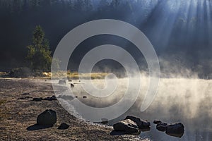 Steamy lake in the forest